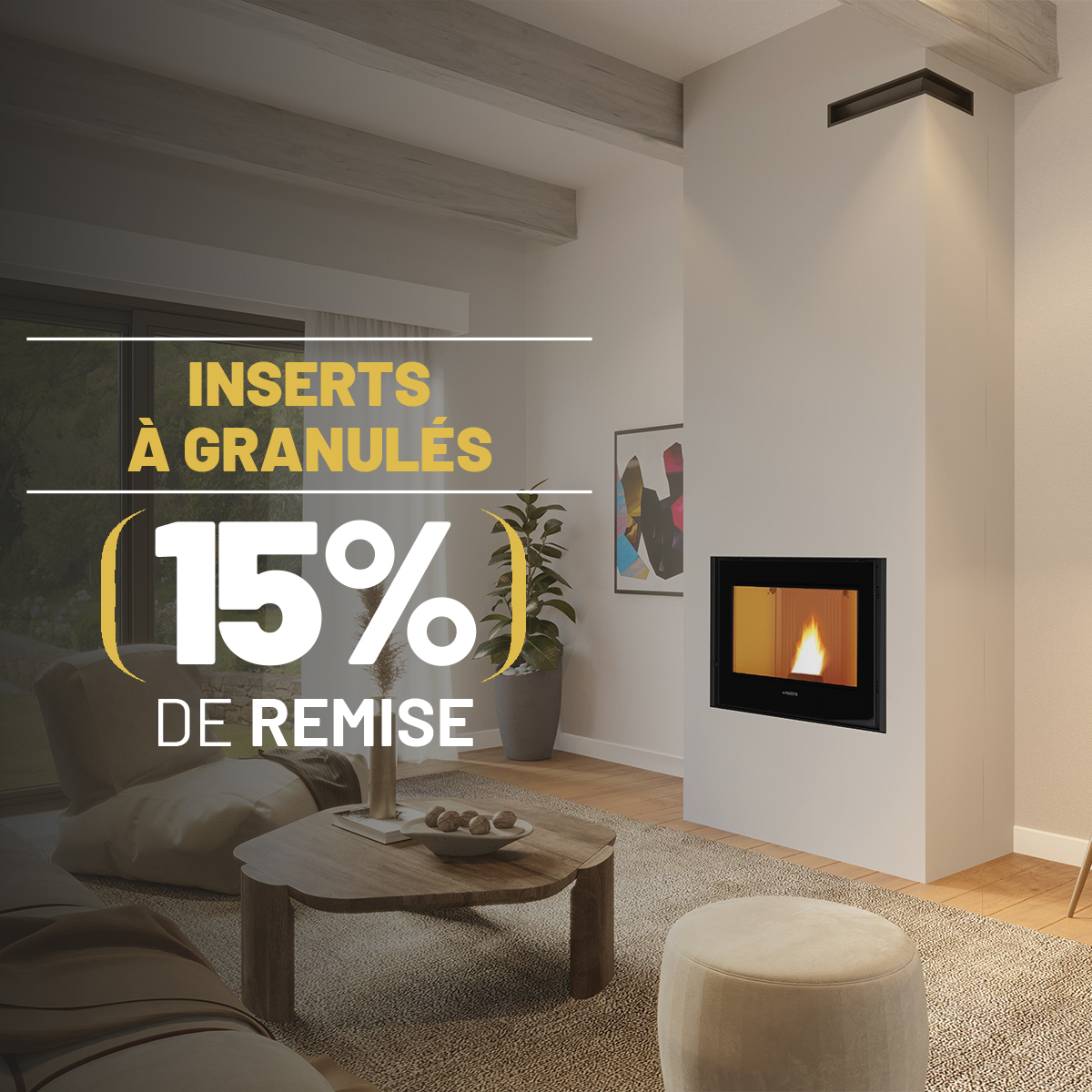 Promotion chauffage bois et granulés